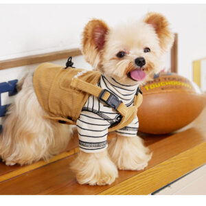 Small And Medium-sized Dogs PET Tooling Strap