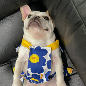 Lotus Leaf Lace Blue Cotton Print Pet Skirt