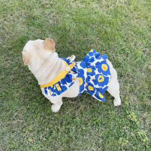 Lotus Leaf Lace Blue Cotton Print Pet Skirt