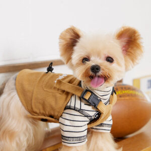 Small And Medium-sized Dogs PET Tooling Strap