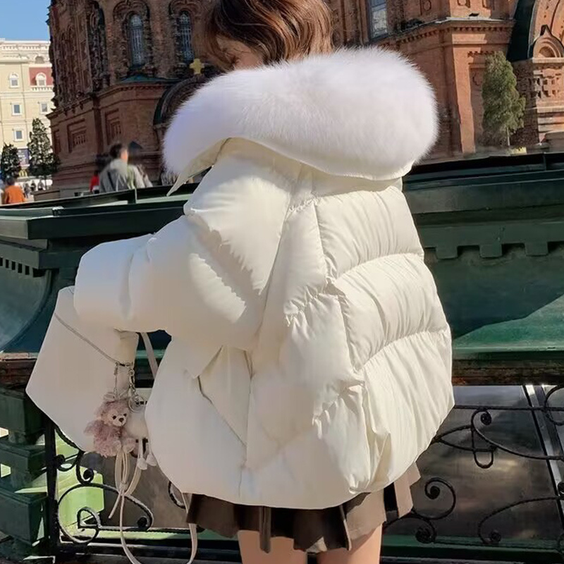 Down Cotton-padded Jacket Women's Short Fur Collar Thickened Coat Winter Clothing - Image 2